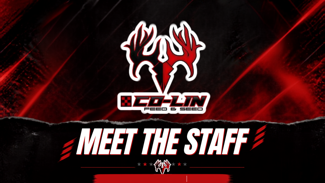 Meet the People Behind the Counter — The Co-Lin Team