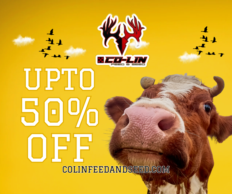 CLEARANCE UPTO 50%