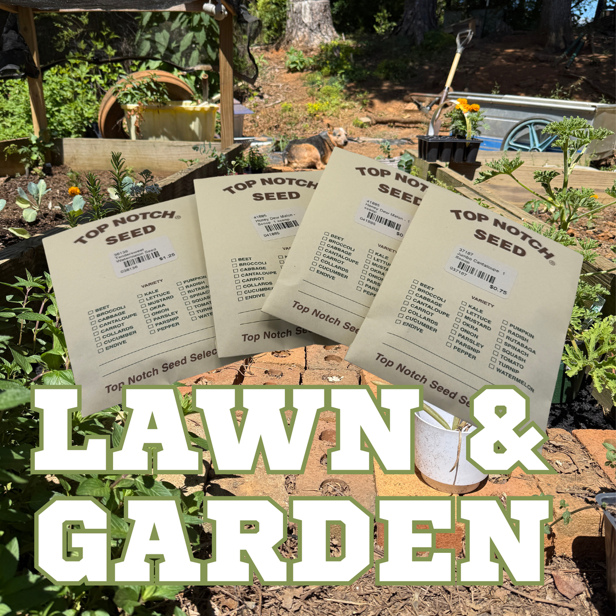 Lawn & Garden