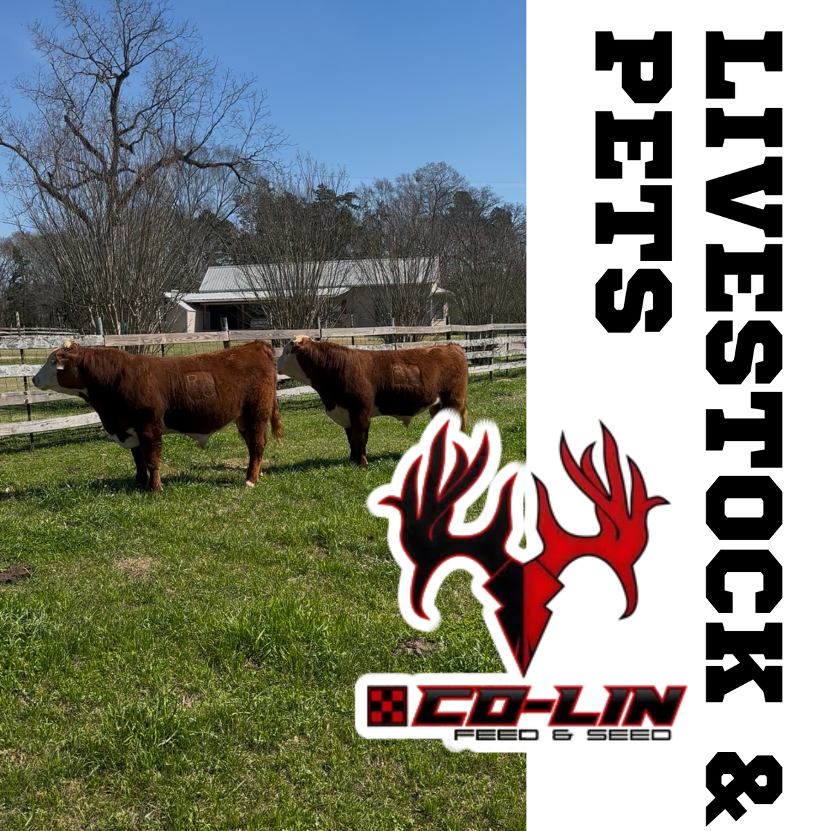 FEED for LIVESTOCK & PETS